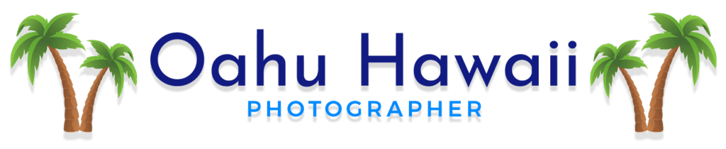 logo of oahu hawaii photographer with blue font color and palm trees on the side
