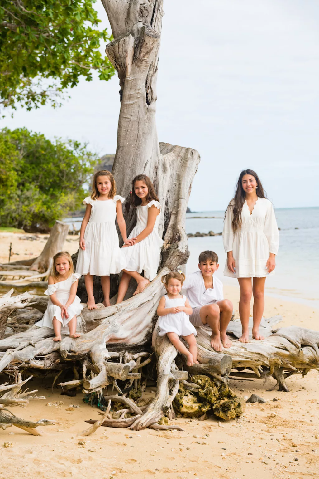 an image of 6 siblings wearing all white sitting and standing on tree branch at the beach