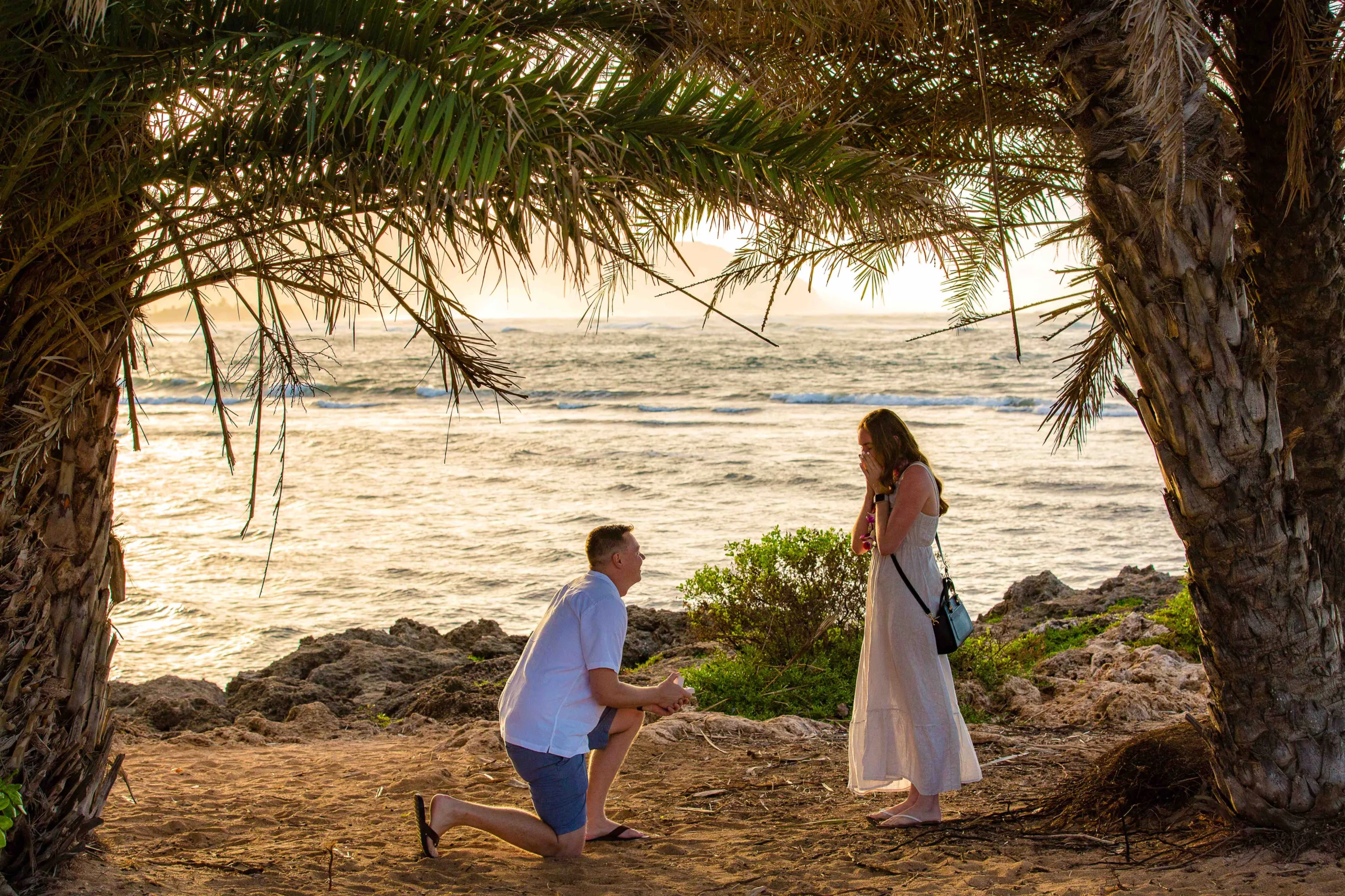 an image of a man kneeling down in front of a woman proposing to her captured by a North shore photographer